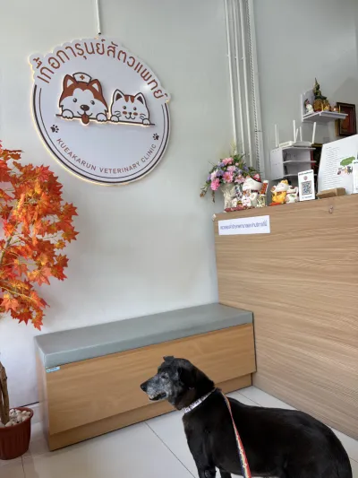 Veterinary Assistance