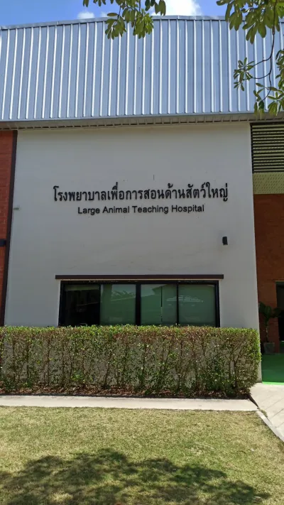 Hospital for Teaching Large Animals