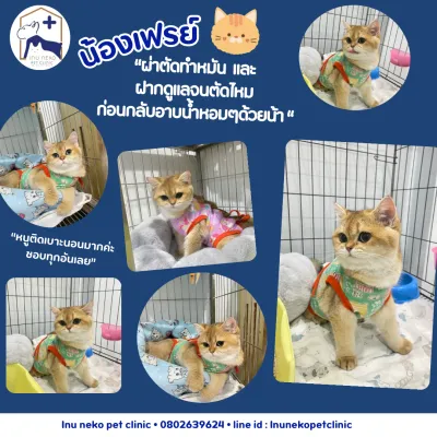 Inu Neko Pet Clinic