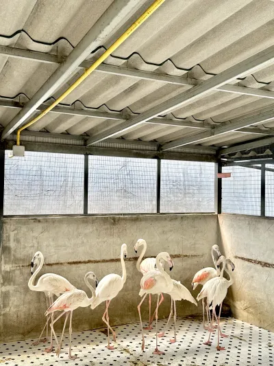 108 Breeding Farm