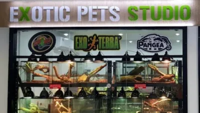 Exotic Pets Studio Jatujak