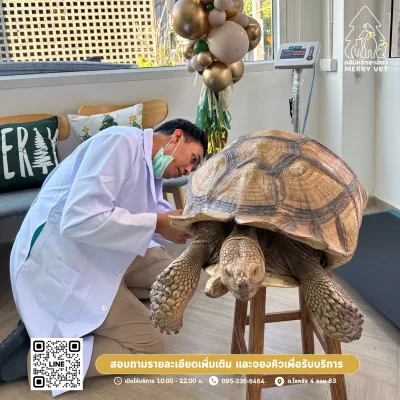 Merry vet Clinic