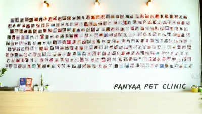 Panyaa Pet Clinic