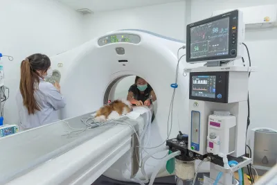 Phyathai 7 Animal Hospital Bang Na