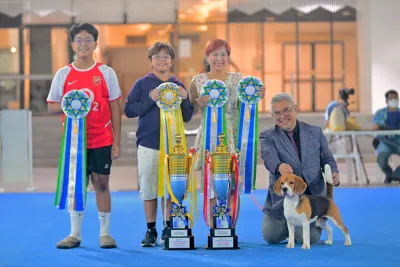Sparta Beagles