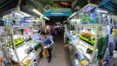 Thai Aquarium Centre