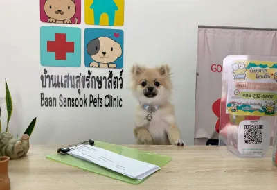 Sansuk House Animal Treatment