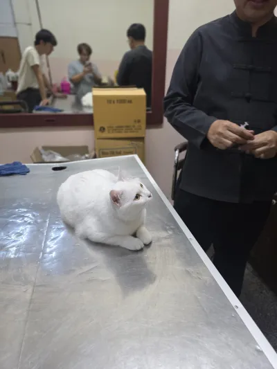 Veterinarian Supachai