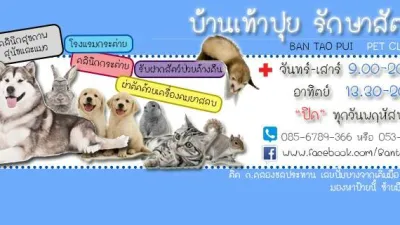 Bantaopui Pet Clinic