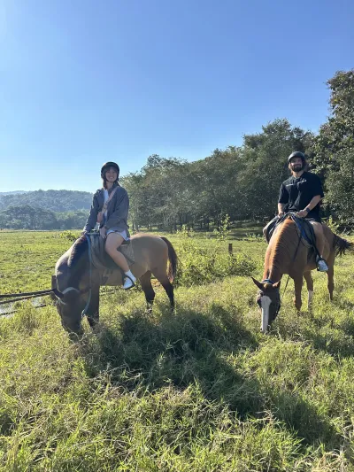 Doi Kham Thai horse Conservation