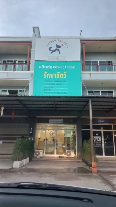 Around Wiang Animal Treatment