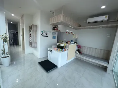 Pet Corner