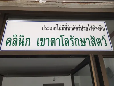 Khao Talo treats animals