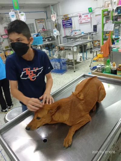 Muang Chonsat Animal