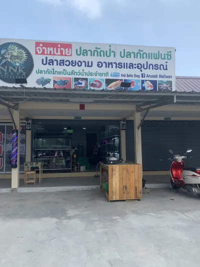 Nnk Betta Shop