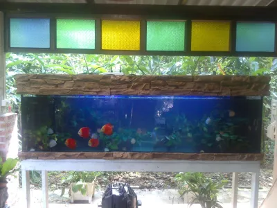Aod Aquarium
