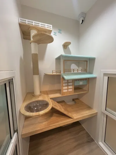 Pop cat hotel at Lampang