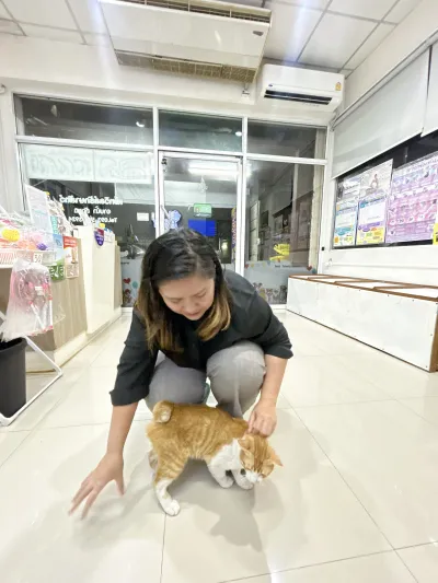 PetVille Veterinary Clinic