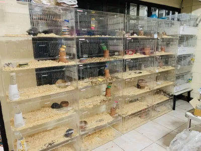Pos hamster shop