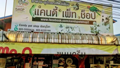 Candy Pet Shop