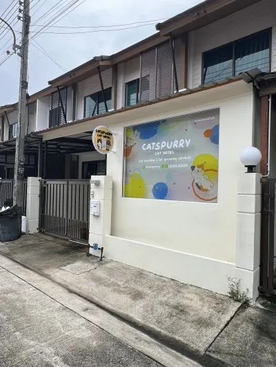 Catspurry Cat Hotel & Cat Grooming Phuket
