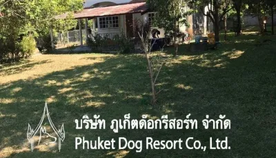 Phuket Dog Resort