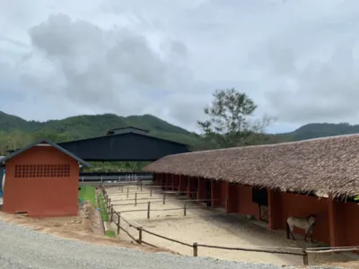 PHUKET HORSE CENTER CO.,LTD