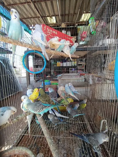 Pet & Aquatic