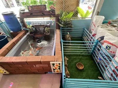 Pet Shop