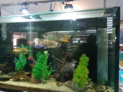 HERO PET CENTER