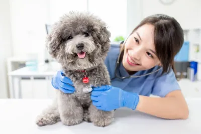 Phimphun Rak Sat Veterinary Hospital