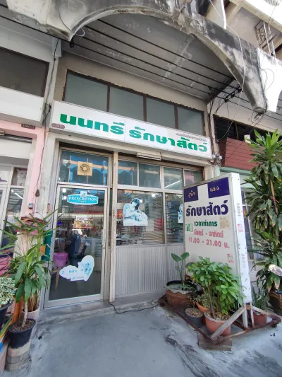 Nonsi Animal Treatment