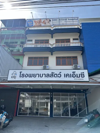 KMC animal hospital