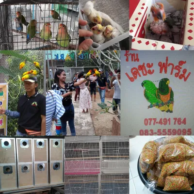 Decha Farm