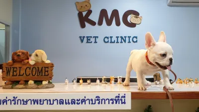 KMC Vet Clinic and Grooming