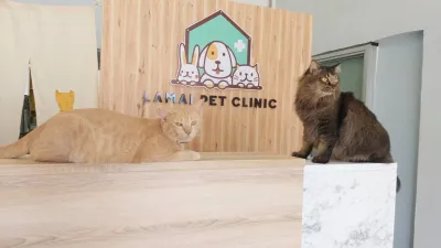 Lamai Pet Clinic