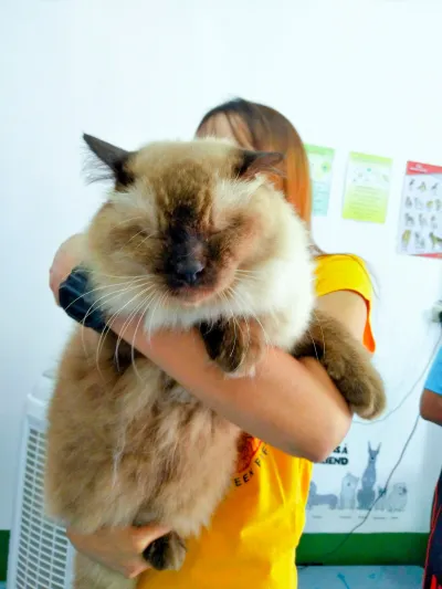 Phanom Veterinary Clinic