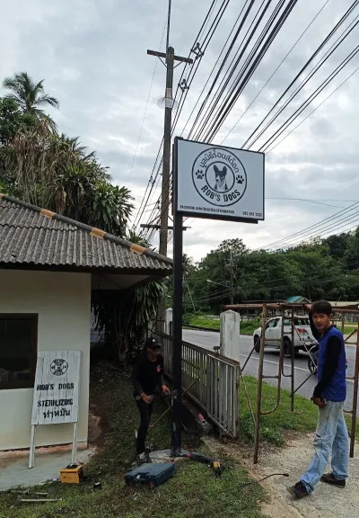 Rob's Dogs Foundation