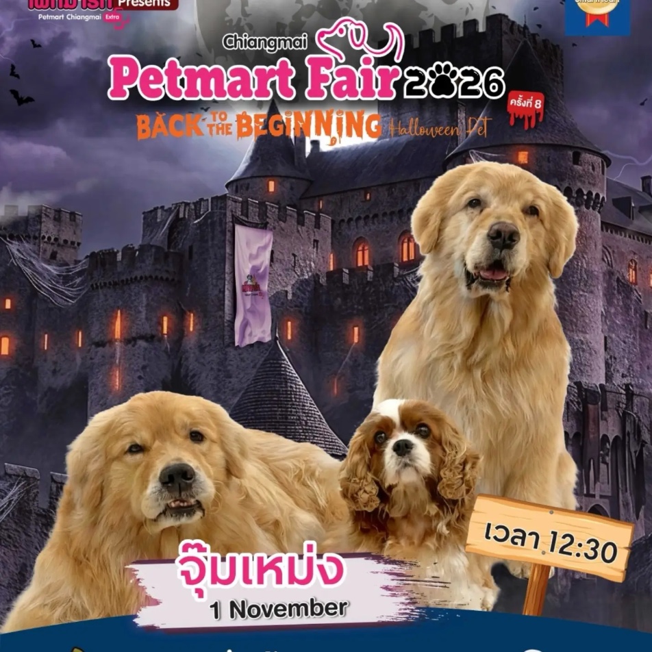 Chiangmai Petmart Fair 2026 #8 — Halloween Pet