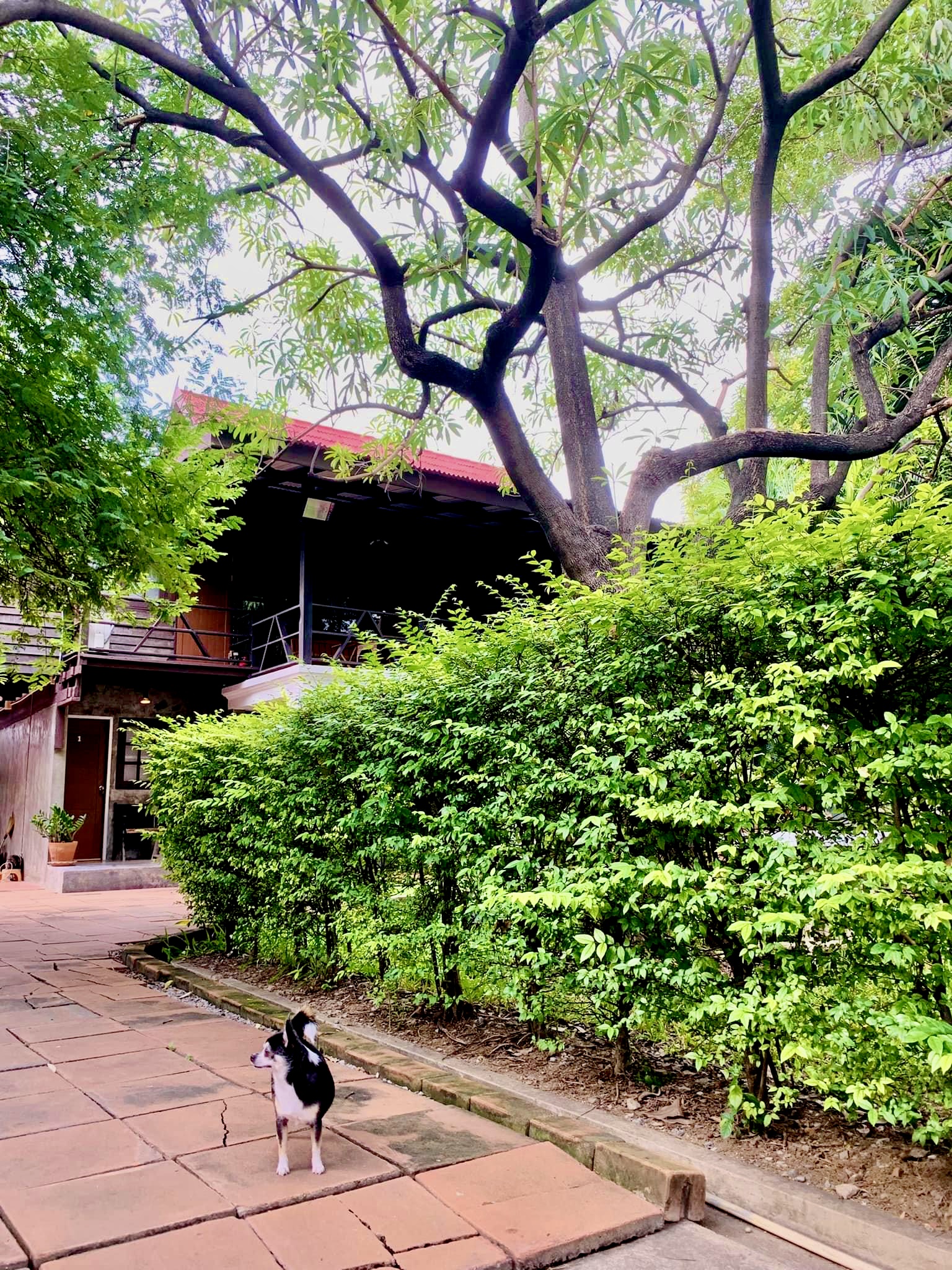 Niwas Ayutthaya Hotel