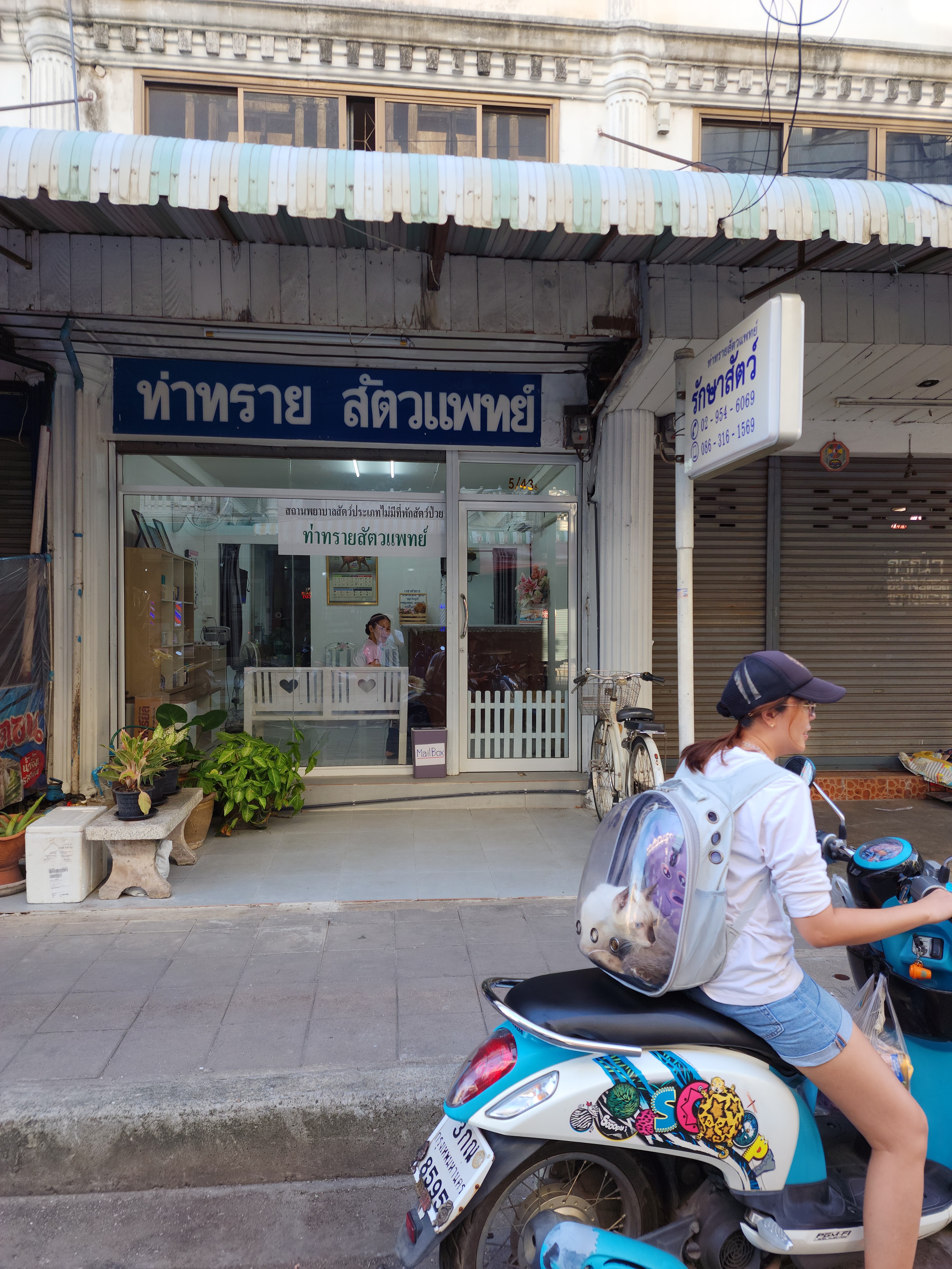 Tha Sai Veterinary Clinic