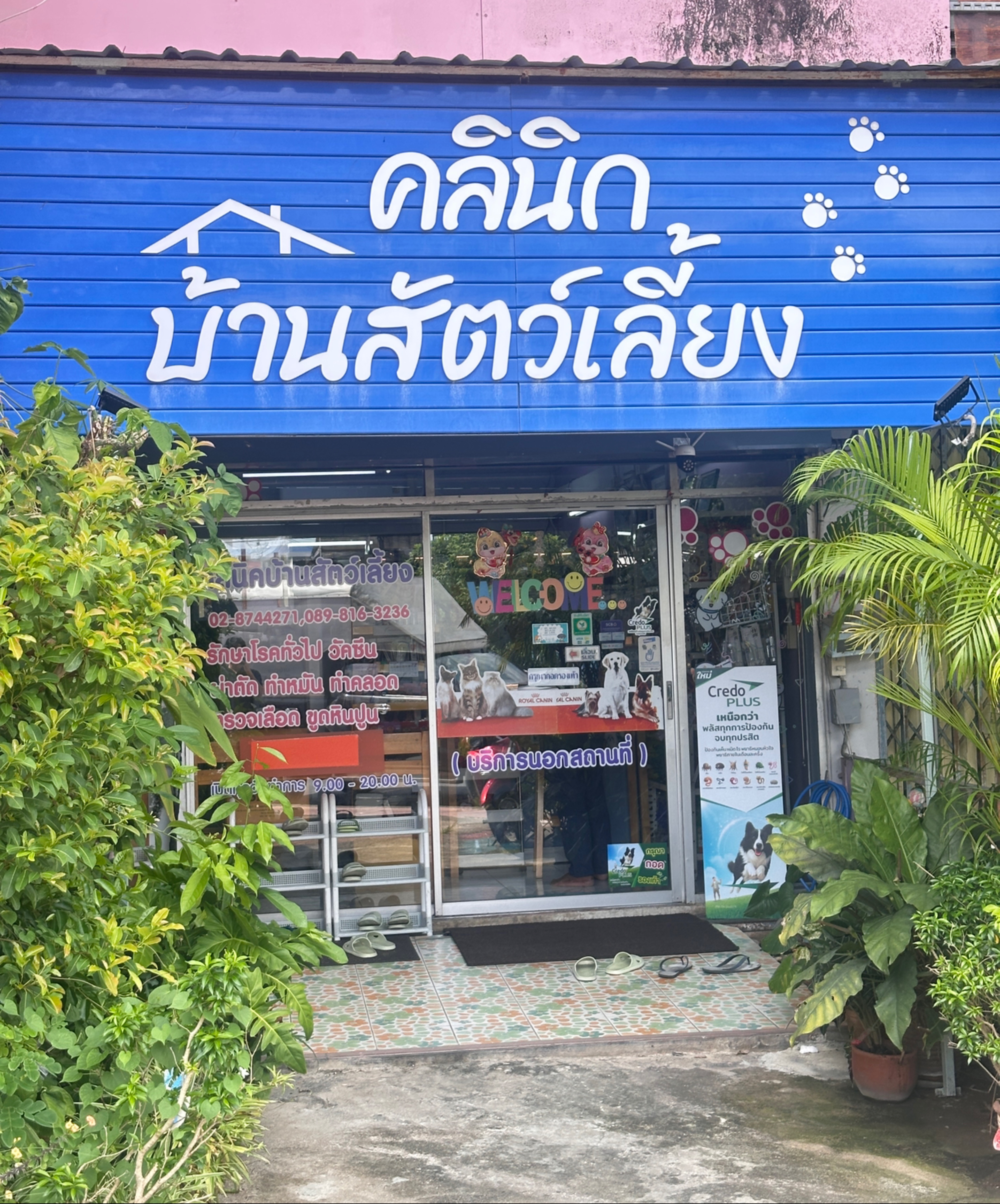 Pet Home Clinic Animal Treatment