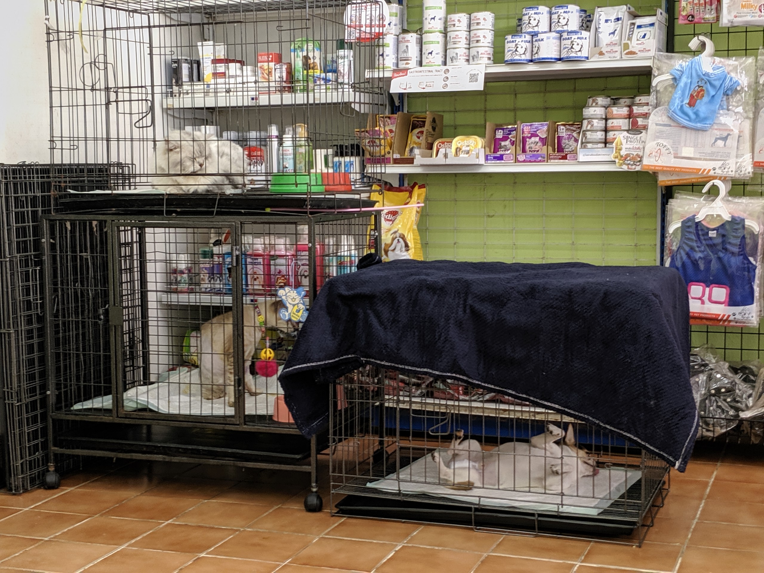 Petpro Animal Hospital