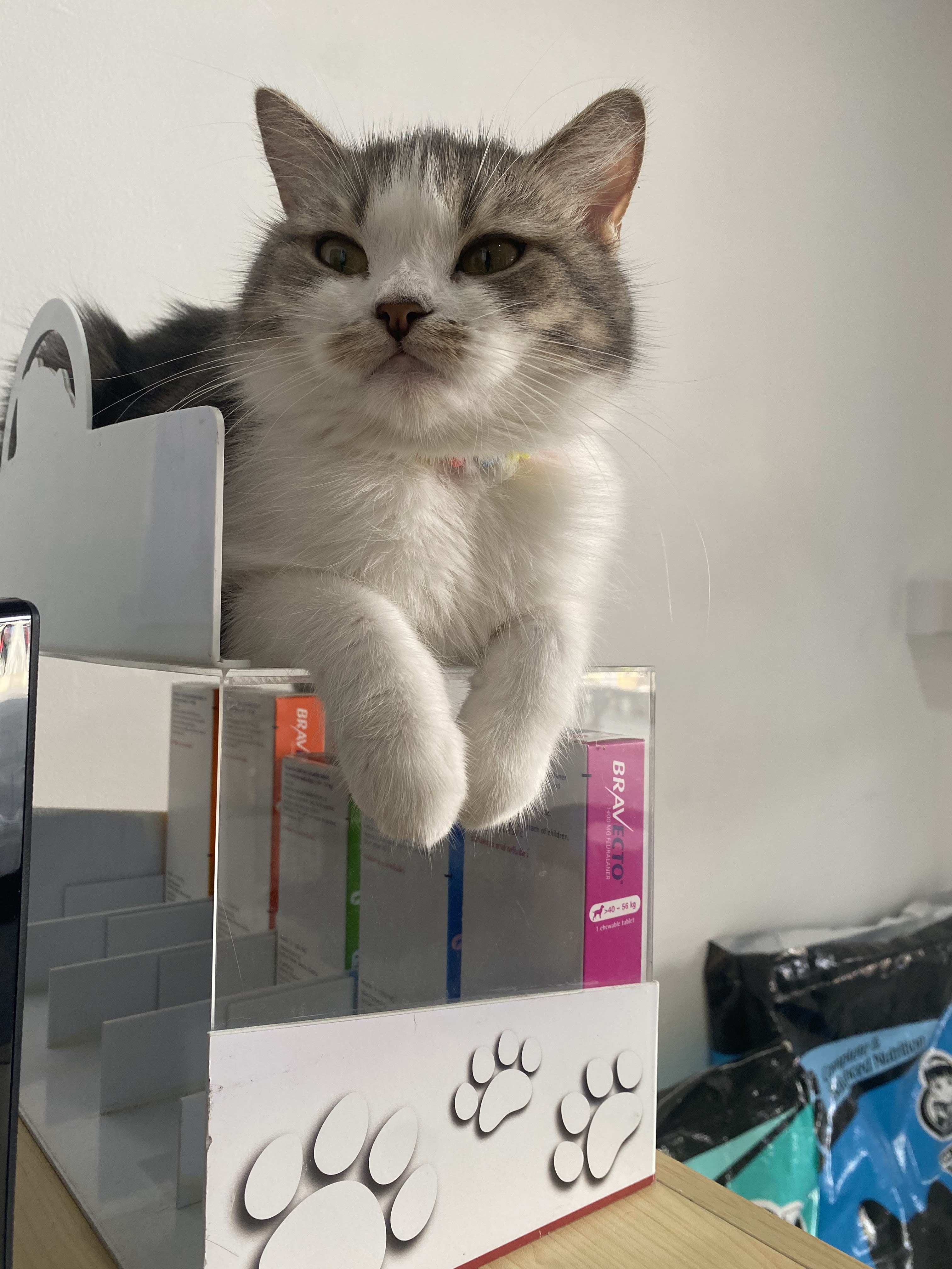 Perfect Place Veterinary Clinic
