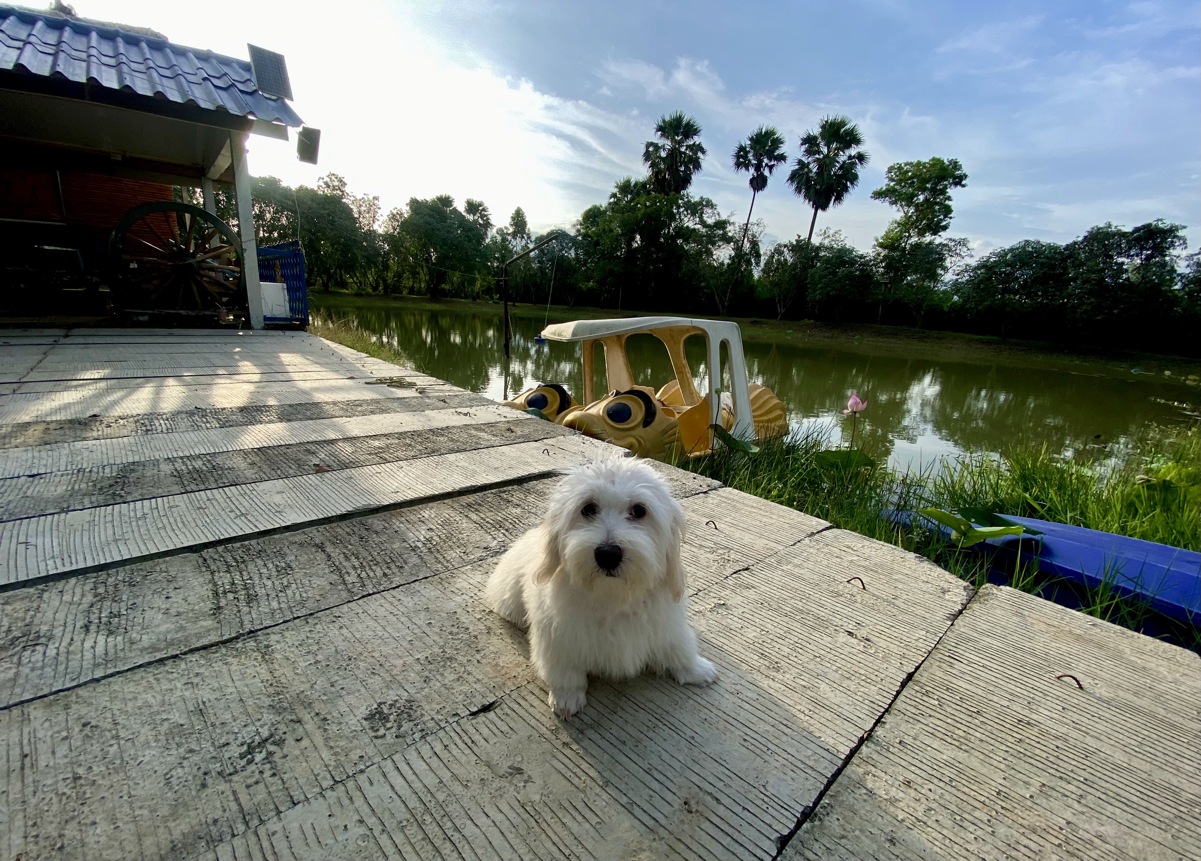 Ake's Veterinarian Clinic