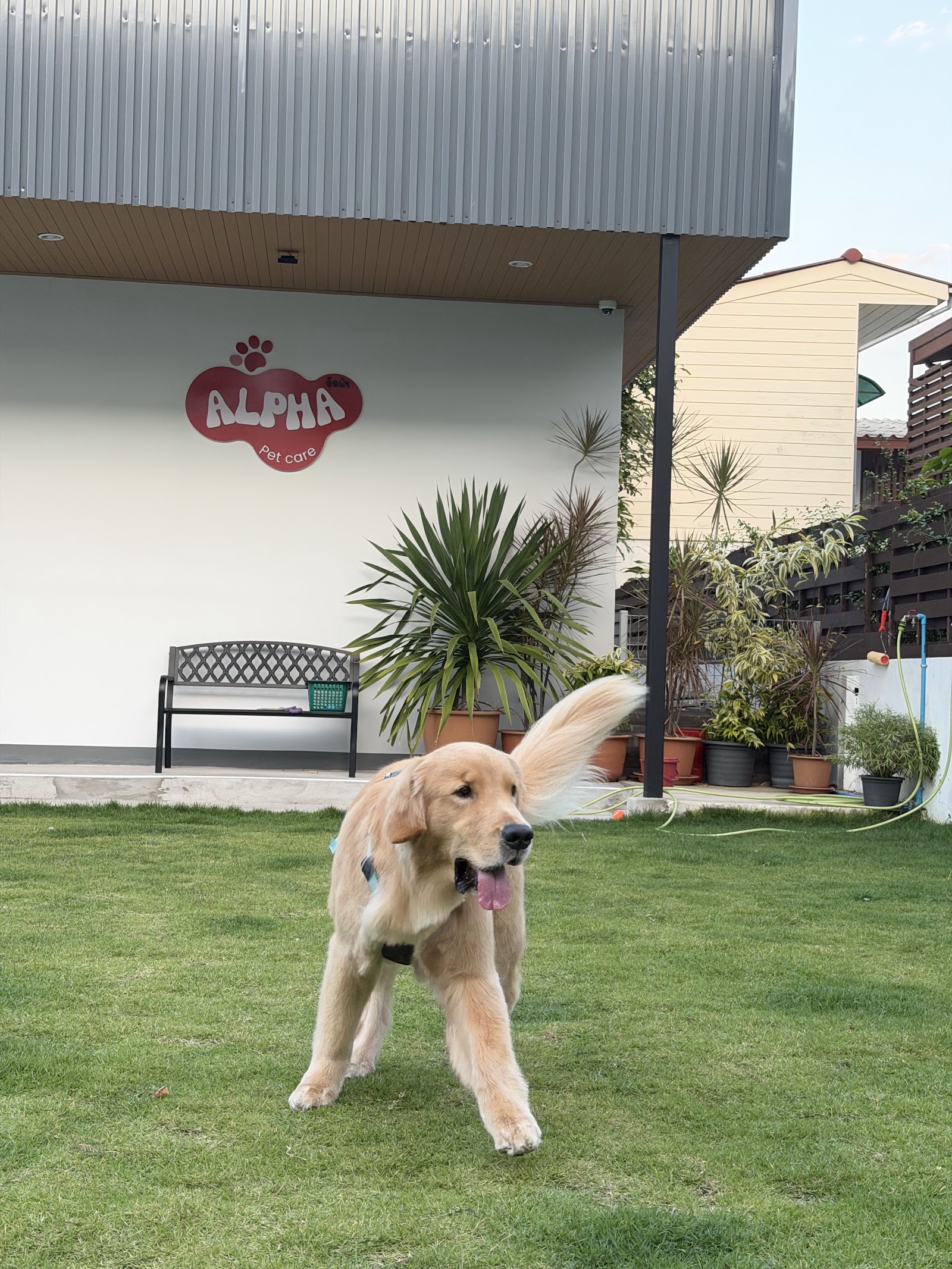 Alpha Pet Care