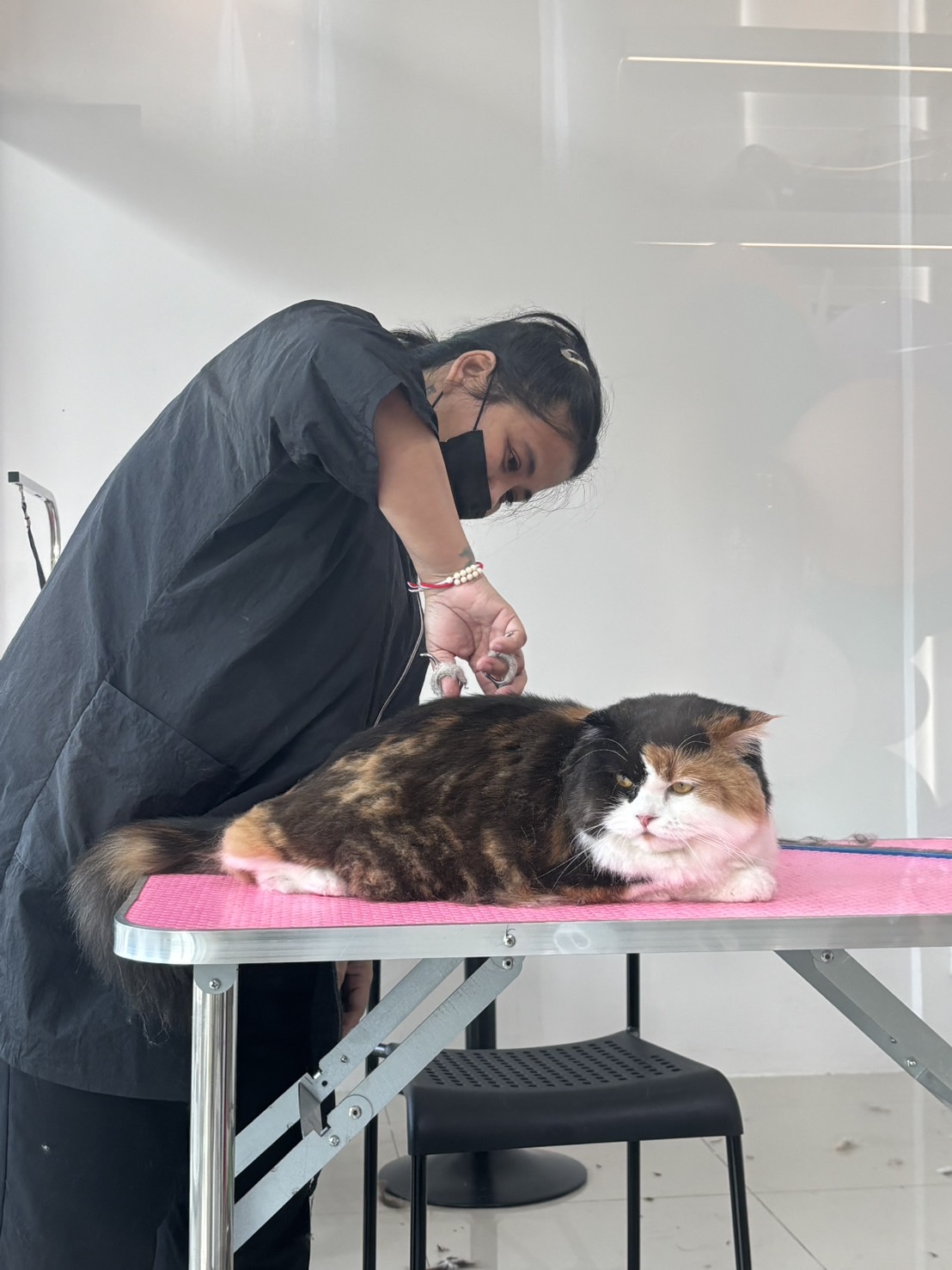 Anya's Mother Premium Cat Grooming & Academy