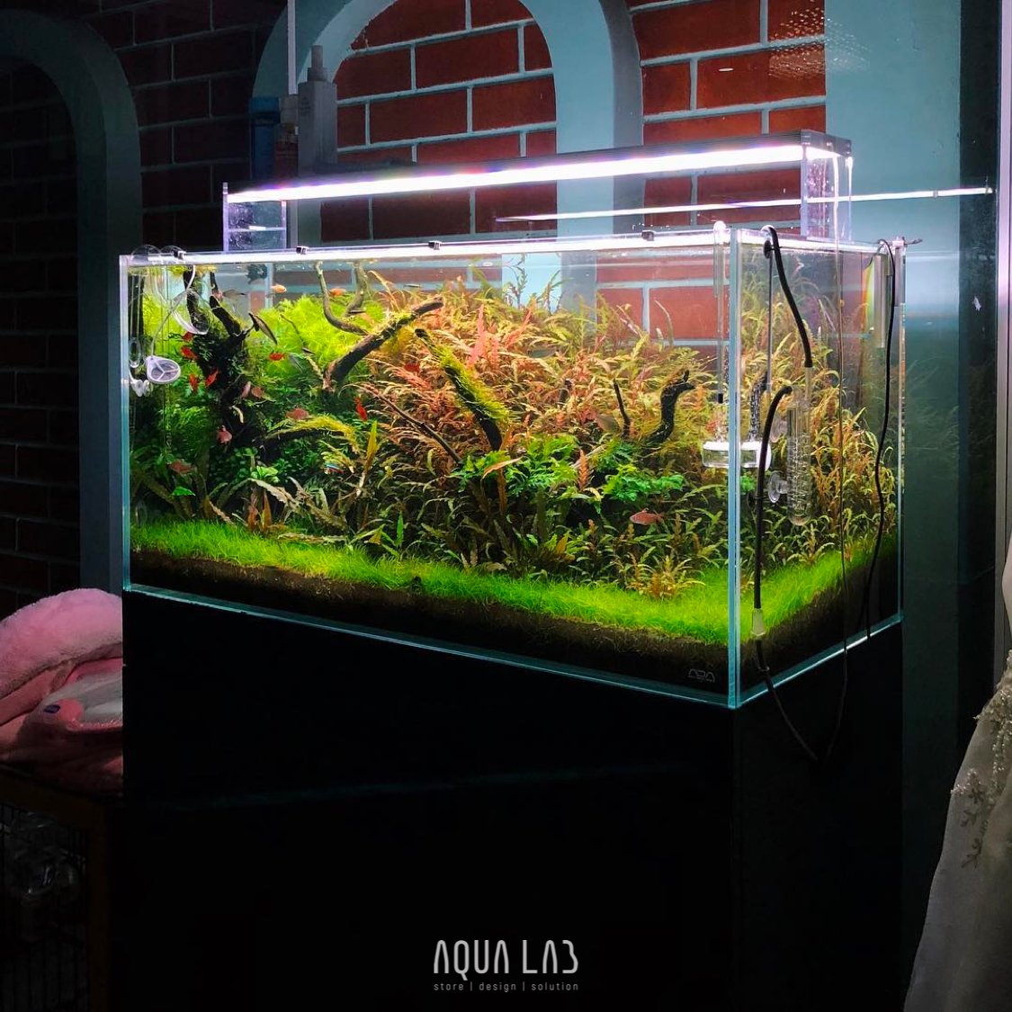 AQUA LAB Store + Design & Solution