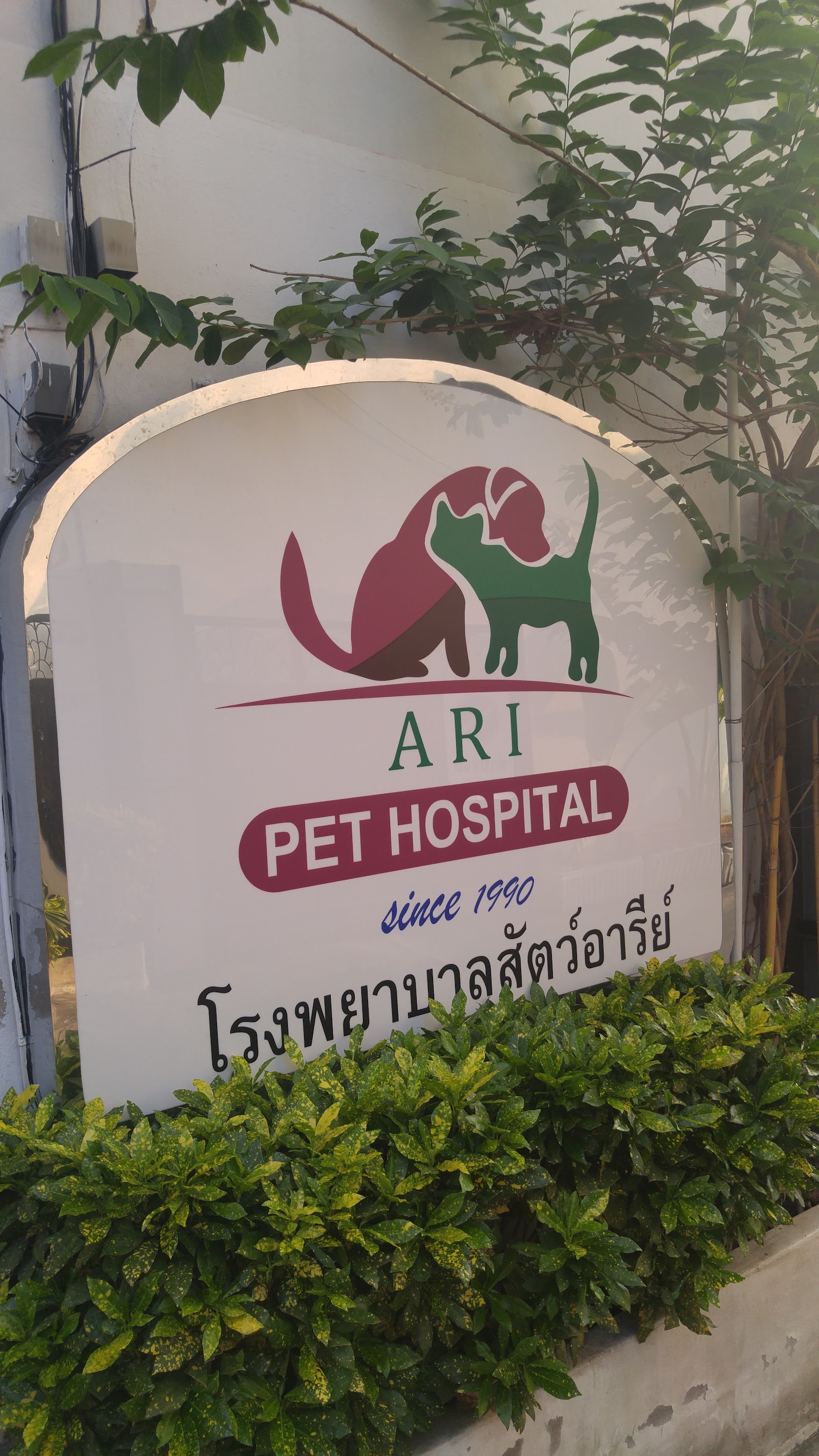 Aree Pet Hospital
