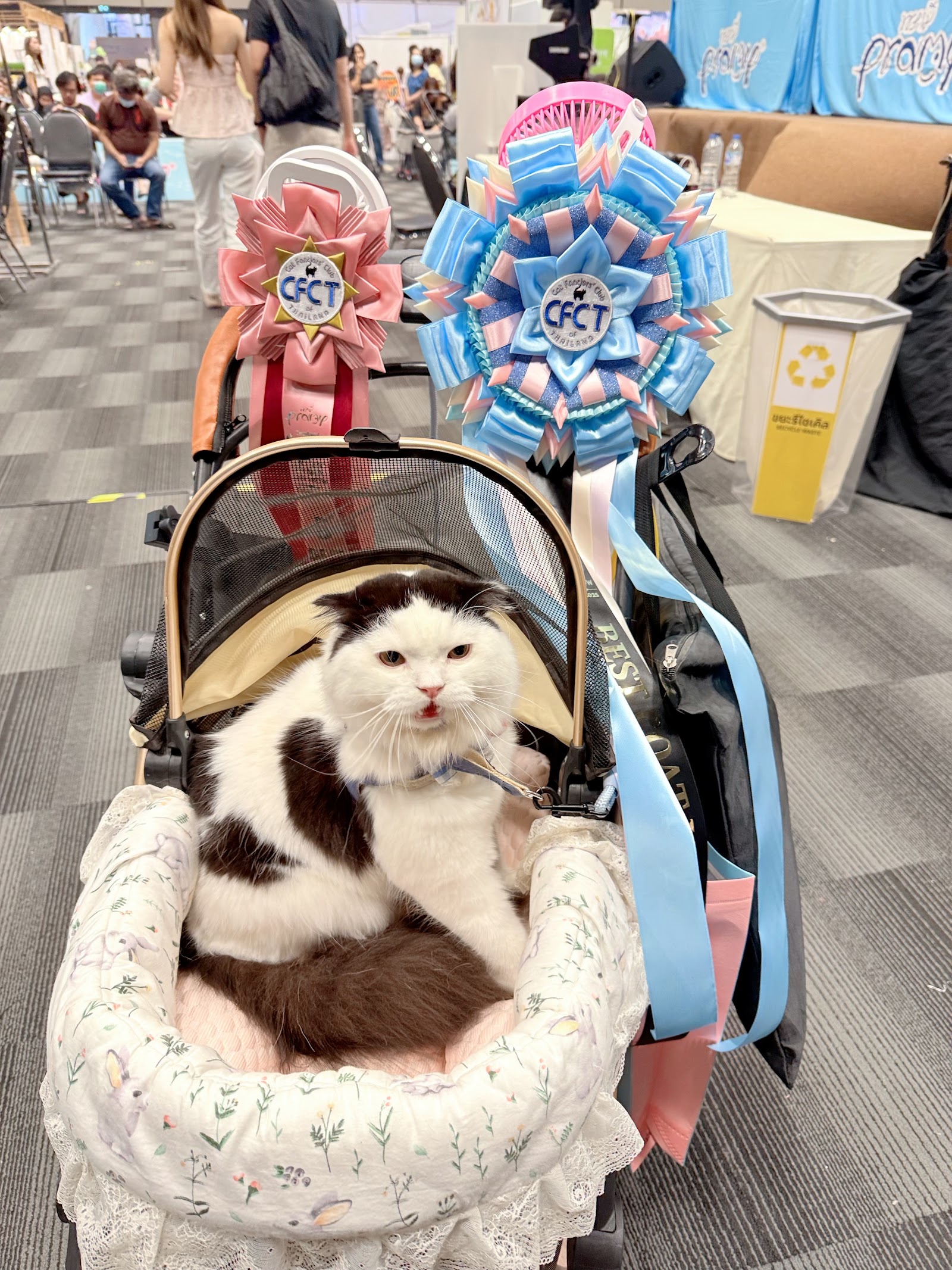 Arya Pet Grooming and Spa